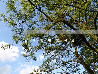 逾期交楼官司费用
