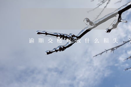 逾期交楼导致什么损失