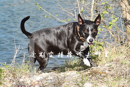 逾期交楼投诉去哪里 逾期交楼投诉去哪里