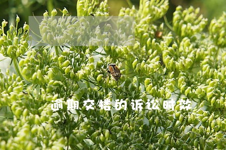 逾期交楼的诉讼时效 逾期交楼的诉讼时效