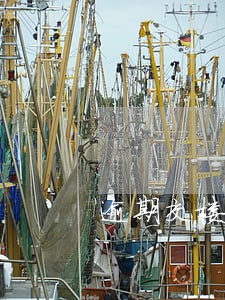 逾期交楼解除房屋买卖合同 逾期交楼解除房屋买卖合同