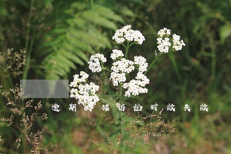 逾期交楼诉讼时效失效 逾期交楼诉讼时效失效