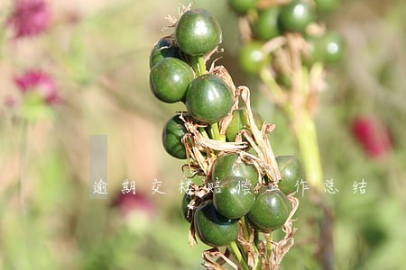 逾期交楼赔偿工作总结 逾期交楼赔偿工作总结