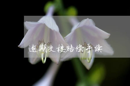 逾期交楼赔偿手续 逾期交楼赔偿手续