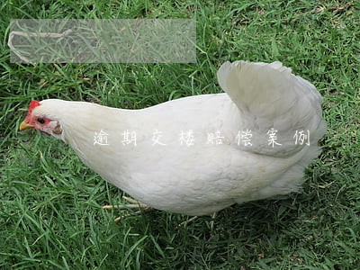 逾期交楼赔偿案例 逾期交楼赔偿案例
