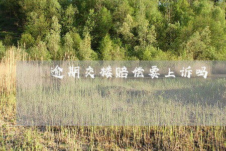 逾期交楼赔偿要上诉吗