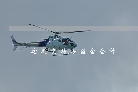 逾期交楼赔偿金会计 逾期交楼赔偿金会计