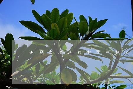 逾期交楼违约金可以超过房价吗 逾期交楼违约金可以超过房价吗