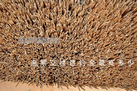 逾期交楼违约金最高多少