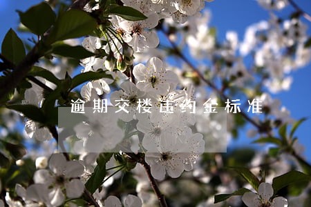 逾期交楼违约金标准 逾期交楼违约金标准