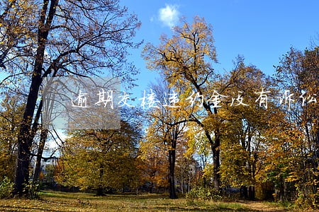 逾期交楼违约金没有诉讼时效 逾期交楼违约金没有诉讼时效