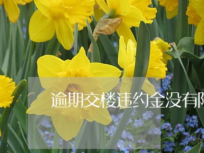逾期交楼违约金没有限价 逾期交楼违约金没有限价