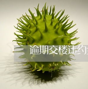 逾期交楼违约金滞纳金 逾期交楼违约金滞纳金
