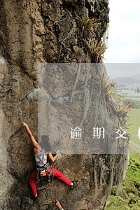 逾期交楼违约金的调整 逾期交楼违约金的调整