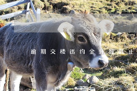 逾期交楼违约金计算截止日 逾期交楼违约金计算截止日