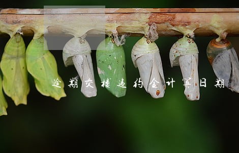 逾期交楼违约金计算日期 逾期交楼违约金计算日期