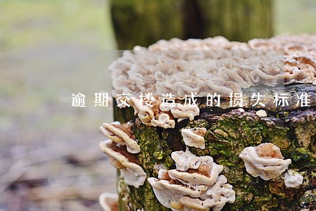 逾期交楼造成的损失标准 逾期交楼造成的损失标准