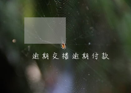 逾期交楼逾期付款 逾期交楼逾期付款