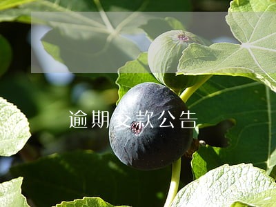 逾期交款公告 逾期交款公告