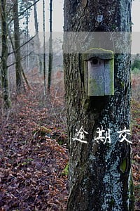 逾期交款房源清退通知 逾期交款房源清退通知