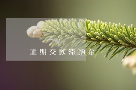 逾期交款滞纳金 逾期交款滞纳金