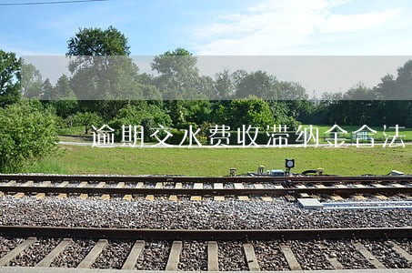 逾期交水费收滞纳金合法吗 逾期交水费收滞纳金合法吗
