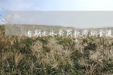 逾期交水费罚款滞纳金通知 逾期交水费罚款滞纳金通知