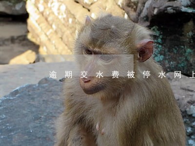 逾期交水费被停水网上交了 逾期交水费被停水网上交了