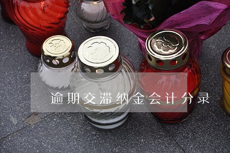 逾期交滞纳金会计分录 逾期交滞纳金会计分录