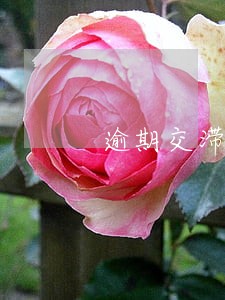 逾期交滞纳金怎么算的 逾期交滞纳金怎么算的