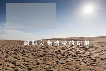 逾期交滞纳金的罚单 逾期交滞纳金的罚单