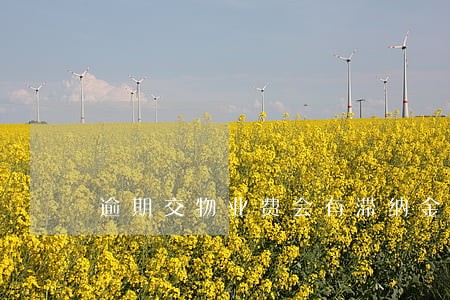 逾期交物业费会有滞纳金的说法吗