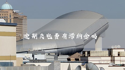 逾期交电费有滞纳金吗 逾期交电费有滞纳金吗