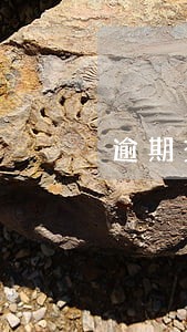 逾期交电费罚款多少 逾期交电费罚款多少