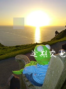 逾期交电费要收违约金合法吗