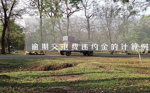 逾期交电费违约金的计算例题 逾期交电费违约金的计算例题
