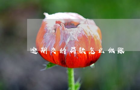 逾期交的罚款怎么做账 逾期交的罚款怎么做账