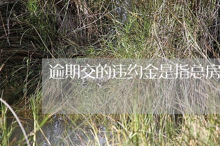 逾期交的违约金是指总房款吗