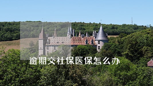 逾期交社保医保怎么办 逾期交社保医保怎么办