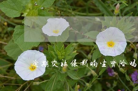 逾期交社保影响生育险吗
