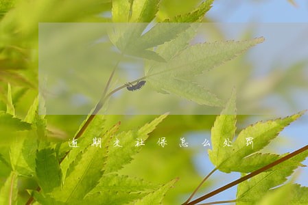 逾期交社保怎么处罚 逾期交社保怎么处罚