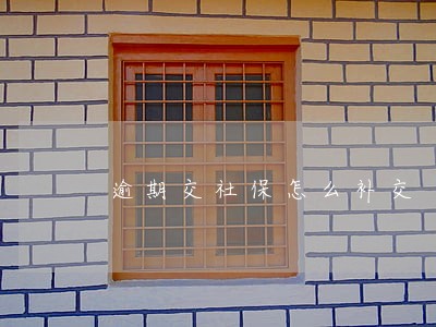 逾期交社保怎么补交 逾期交社保怎么补交