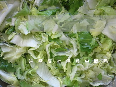 逾期交社保算中断吗 逾期交社保算中断吗