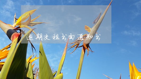 逾期交租书面通知书 逾期交租书面通知书