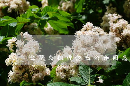 逾期交租押金充公合同怎样写 逾期交租押金充公合同怎样写