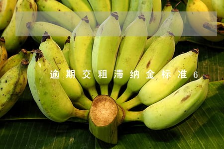逾期交租滞纳金标准6 逾期交租滞纳金标准6