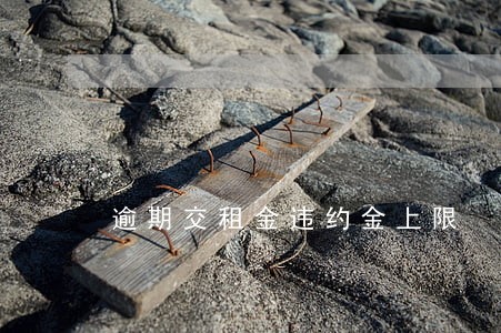 逾期交租金违约金上限 逾期交租金违约金上限