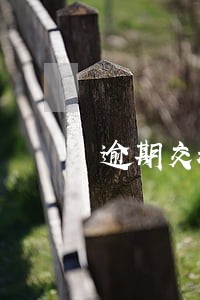 逾期交税10天会有什么后果 逾期交税10天会有什么后果