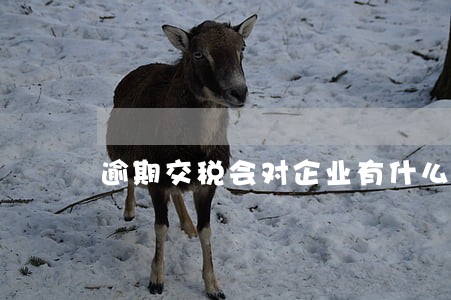 逾期交税会对企业有什么影响 逾期交税会对企业有什么影响