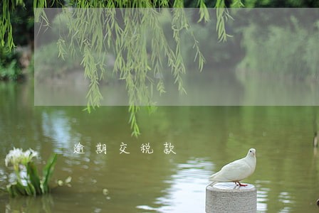 逾期交税款 逾期交税款